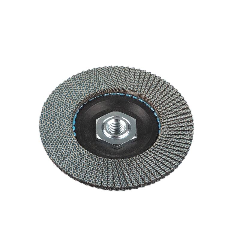 Diamond Flap Disc