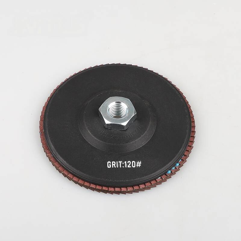 Diamond Flap Disc